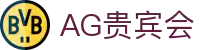 AG贵宾会·(旗舰)股份有限公司